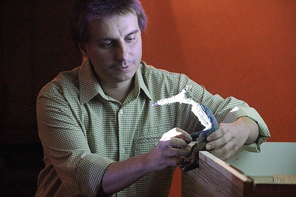 Zvětšit obrázek